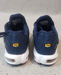 Nike Air Max Plus Navy and Gold