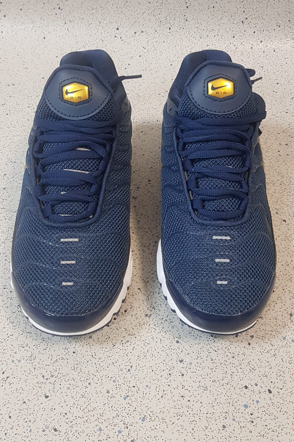 Nike Air Max Plus Navy and Gold